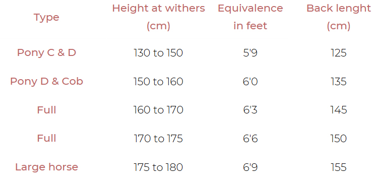 PADDOCK Sports rugs, sheets and exercise sheets size guide